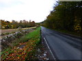 Looking east along the B2141 from the road to Upton Farm