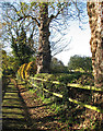 Lolworth: church path