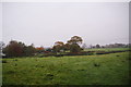 Low-lying farmland near Dairy Farm