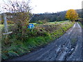 Telegraph Lane heads for the South Downs