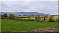 Pasture land at Middle Maes-Coed