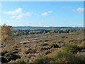 Military training area, Longmoor