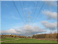 Pylons in Pages Wood