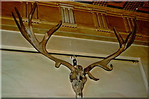 L9884 : Westport House - Entrance Hall -Huge Antlers on Wall by Joseph Mischyshyn