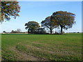 View from the footpath to Shottenden