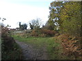 Path junction south of Maltby Woods