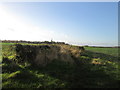 Footpath towards Hooton Lane, Laughton