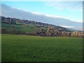 Grassland near the River Etherow