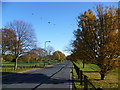 Winn Common Road in autumn