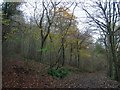 Footpath junction, Friston Forest