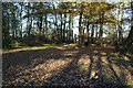 A small nature reserve on Lothian Way