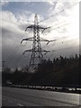 TG1904 : Electricity Pylon next to the A47 by Geographer