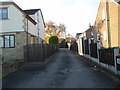 Ash Tree Walk - Langford Road