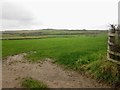 NY0833 : Farmland west of Dovenby by Graham Robson