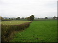 Farmland by Hethelpit Cross