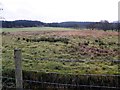 Crouck Townland