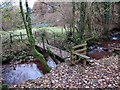 Pontdroed Nant Crynfe  / Nant Crynfe footbridge