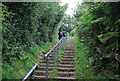 SR9995 : Steps, Pembrokeshire Coastal Path by N Chadwick