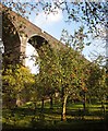 Apples below Huckford Viaduct