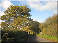 Coalsack Lane