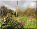 Gate by Meadow Lodge Farm