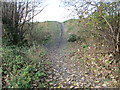 Footpath - end of Syke Street