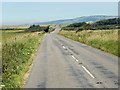 SZ4579 : Military Road, Isle of Wight by David Dixon