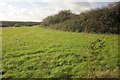 Field by Coalsack Lane