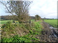 Footpath to Wye Downs