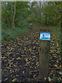 Climate Trail at Watermead Country Park