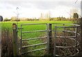 Kissing gate, Lyde Green