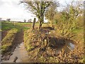 Tributary of the Folly Brook