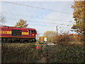 Arksey Lane level crossing