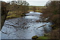 The River Wharfe near Barden Bridge