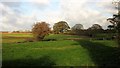 Farmland by Howsmoor Lane