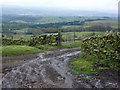 A muddy exit from the field