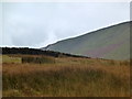 Wall on Twiston Moor