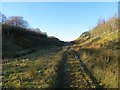 Hareshaw Burn