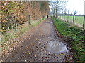 The footpath to Wye Downs