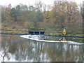 Gulls congregate at sewage farm outlet on the Manchester Ship Canal