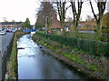 Barkby Brook at Brookside, Syston