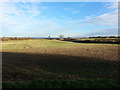 Farmland near Burdon village