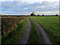 Access Lane to Spruisty Grange Farm