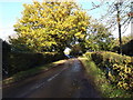 TM2892 : School Road, Bedingham by Geographer