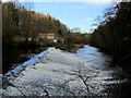 The Weir at Scotton Mill