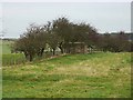 Pillbox at Smallburn