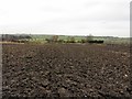 NZ1667 : Ploughed field north of A69 by Andrew Curtis