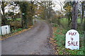 Hay 4 Sale and footpath