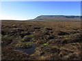 H1329 : View across blanket bog towards the northern side of Cuilcagh by Colin Park