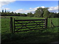 H1734 : Grasslands W of Florence Court NT, near Enniskillen by Colin Park